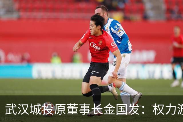 武汉城投原董事长金国发：权力游戏终落幕，家财散尽方知错？