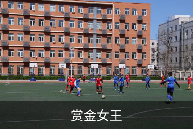 赏金女王企业环境与团队