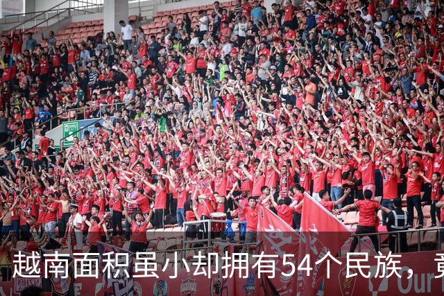 越南面积虽小却拥有54个民族，竟还将中国汉族分成三个民族？