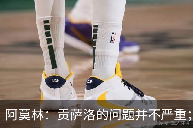 阿莫林：贡萨洛的问题并不严重；我深爱过曼联，但我要向前看